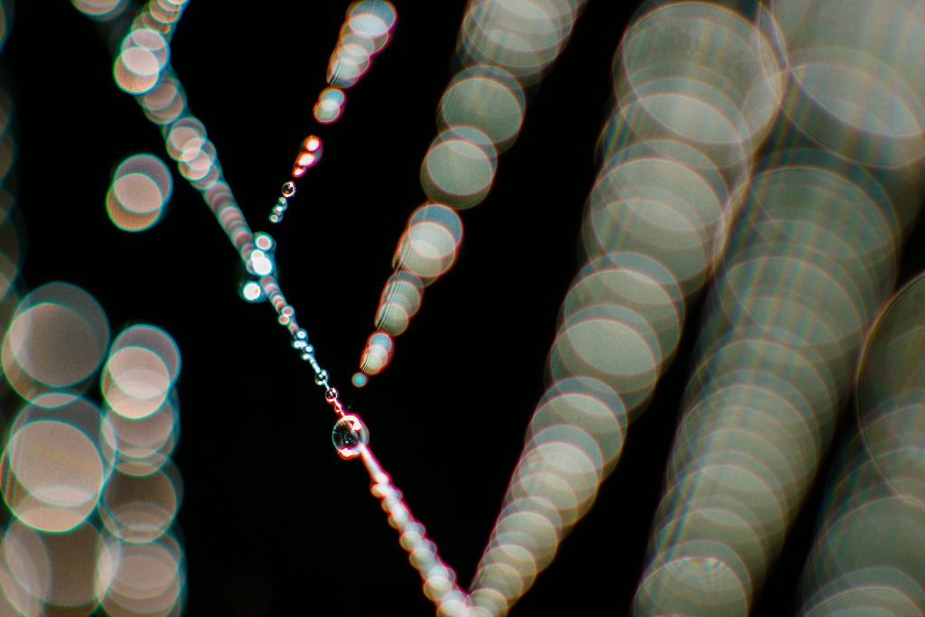 Nature 04