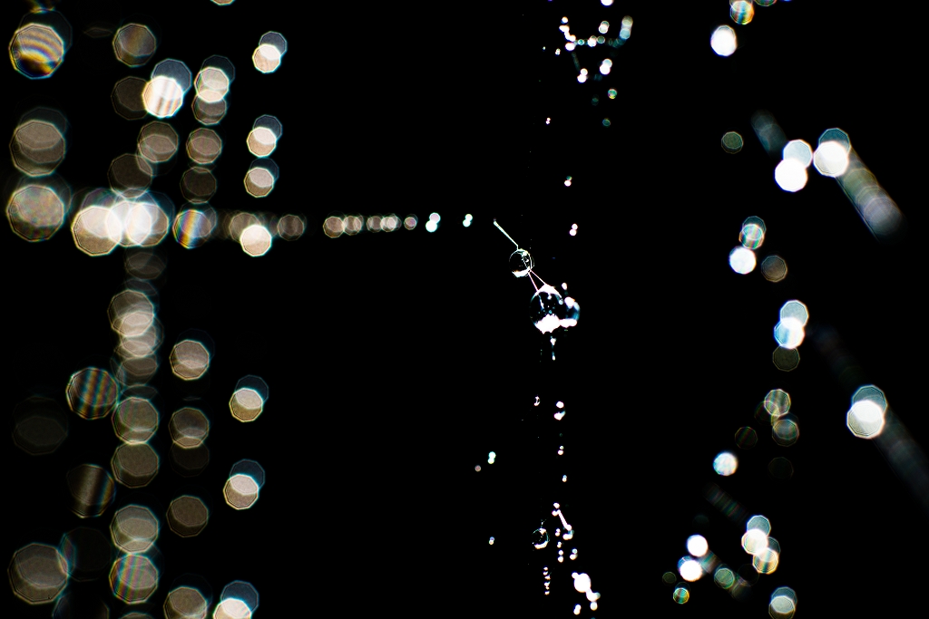Nature 05