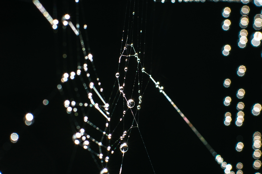 Nature 06